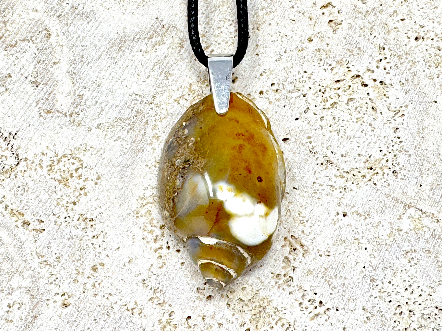 Agatized Gastropod Fossil Pendant 3.5cm