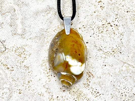 Agatized Gastropod Fossil Pendant 3.5cm