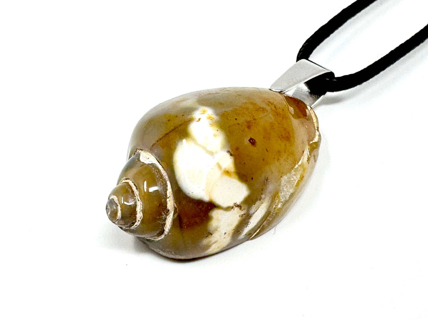 Agatized Gastropod Fossil Pendant 3.5cm