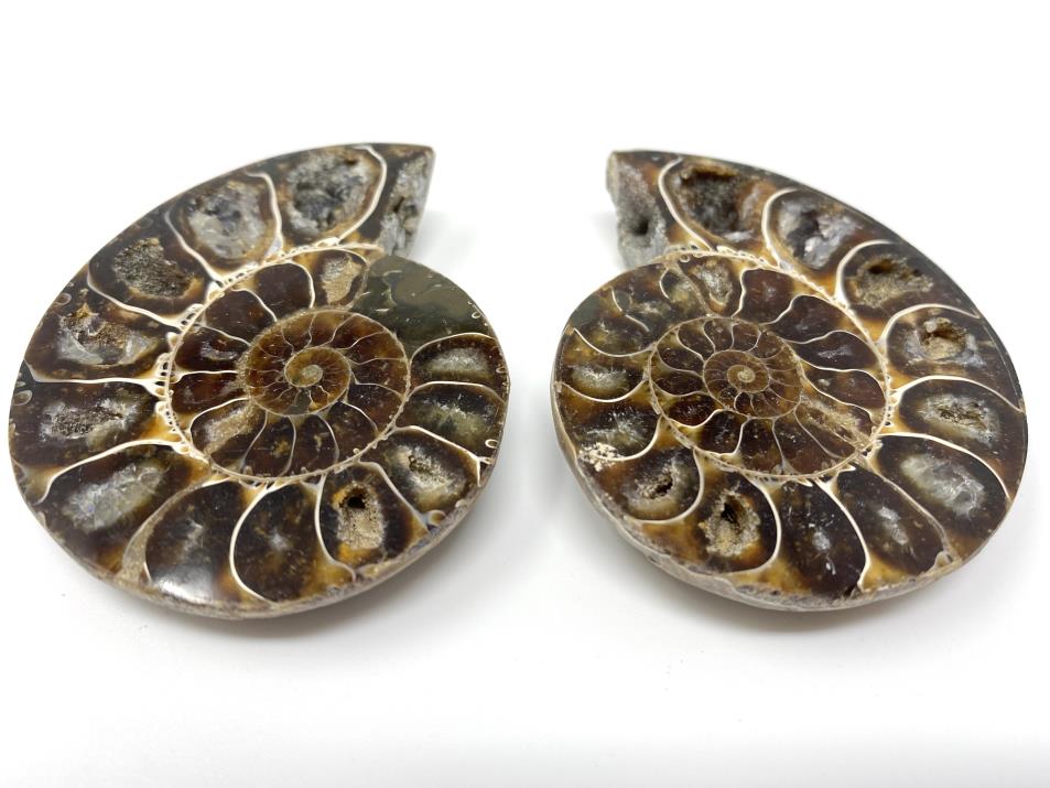 Ammonite Pair 6.2cm