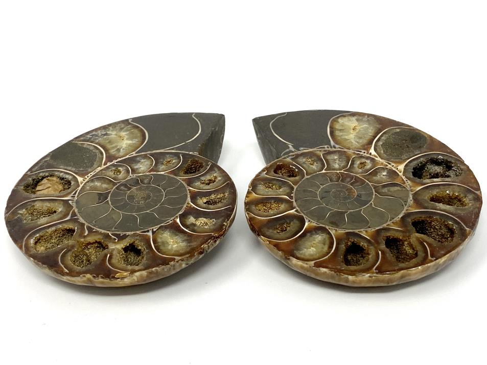 Ammonite Pair 9.6cm