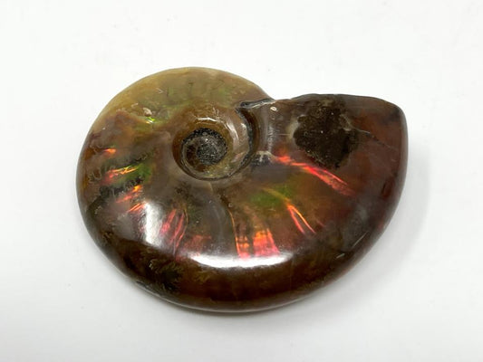 Red Iridescent Ammonite Fossil 4.2cm