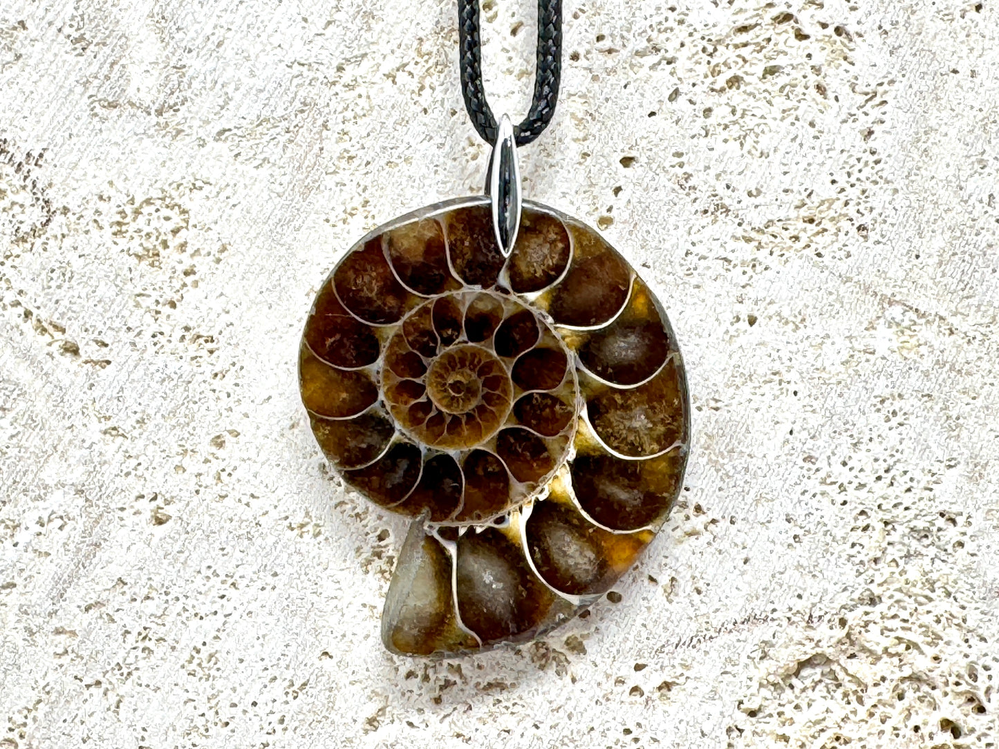 Ammonite Half Pendant 3.8cm