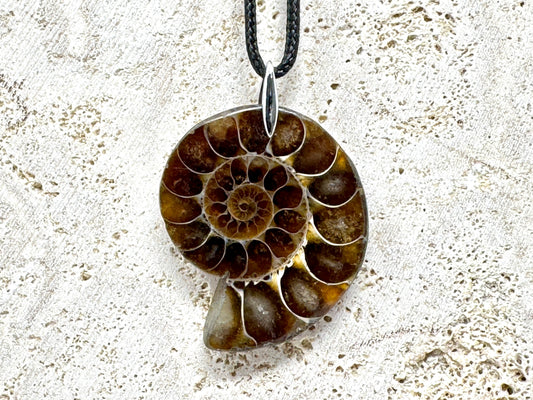 Ammonite Half Pendant 3.8cm