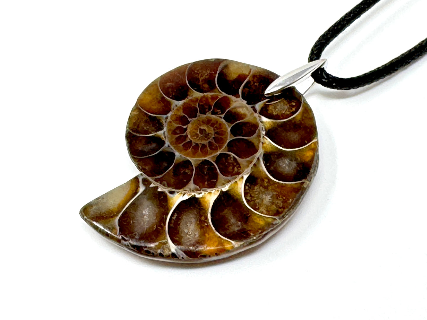 Ammonite Half Pendant 3.8cm