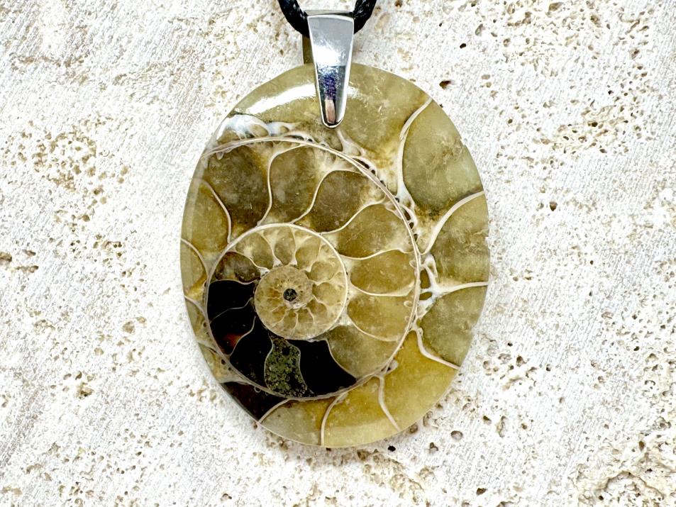 Ammonite Section Pendant Oval 3.8cm