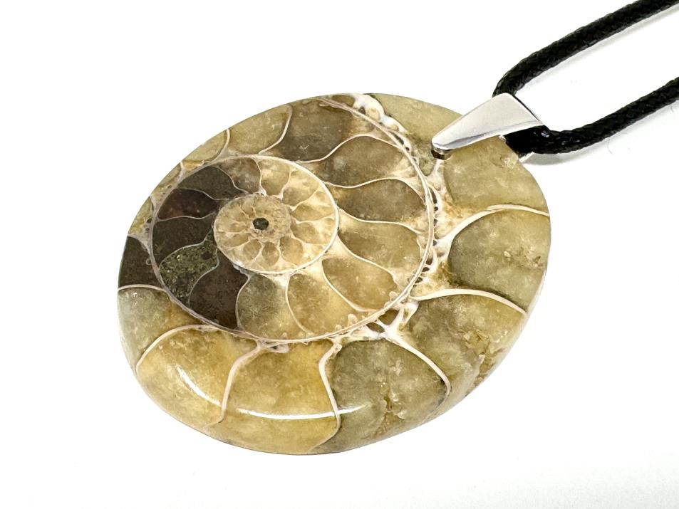 Ammonite Section Pendant Oval 3.8cm