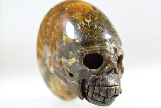 Ammonite Skull Carving 7.6cm