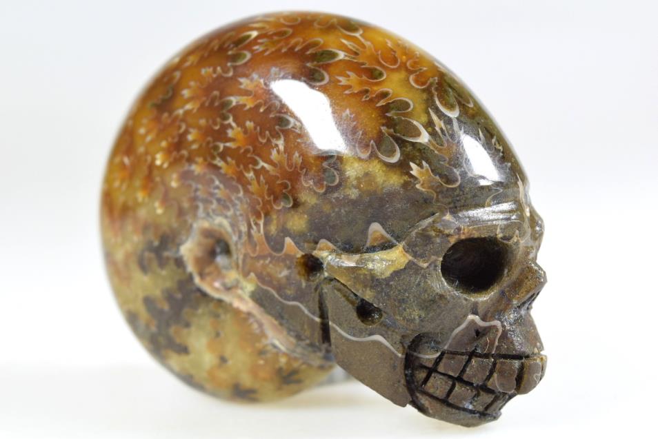 Ammonite Skull Carving 7.6cm