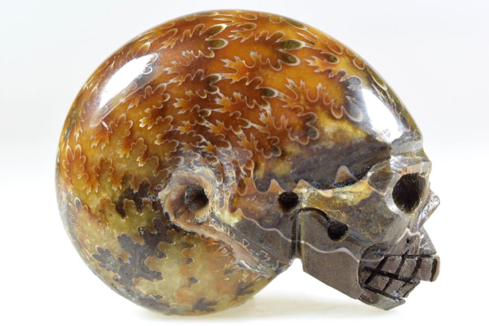 Ammonite Skull Carving 7.6cm