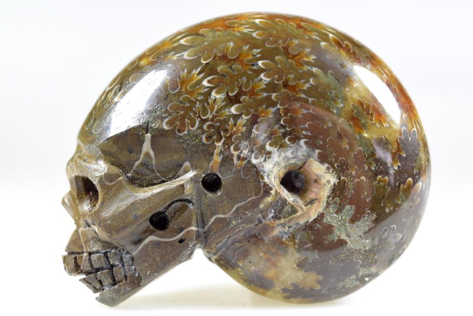 Ammonite Skull Carving 7.6cm