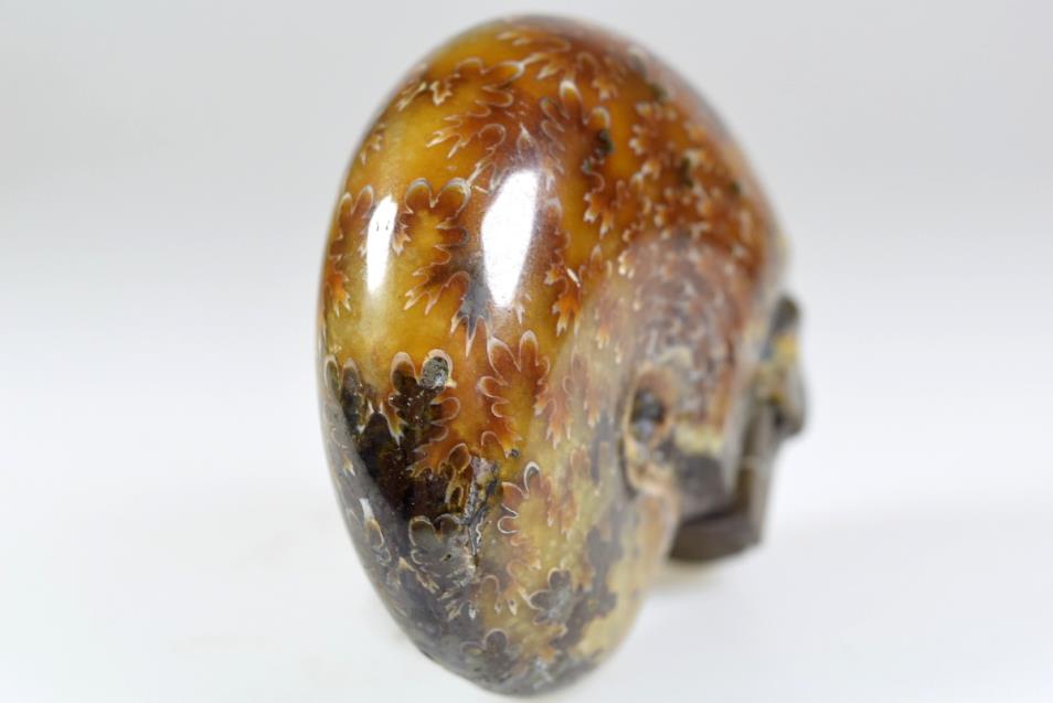 Ammonite Skull Carving 7.6cm