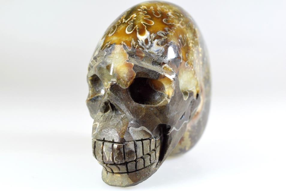 Ammonite Skull Carving Large 10.3cm