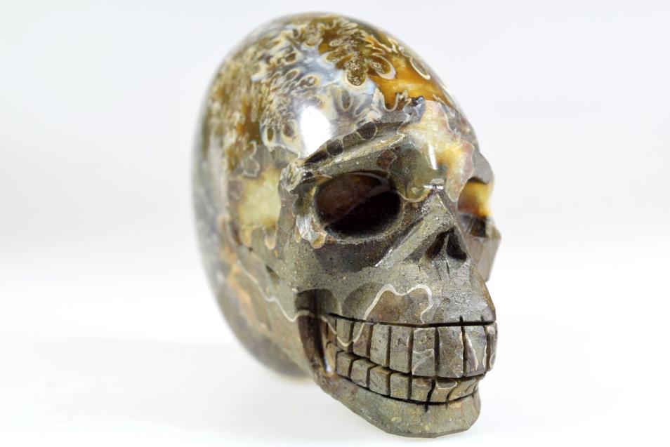 Ammonite Skull Carving Large 10.3cm