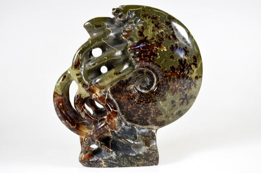 Ammonite Carving Large 13.2cm