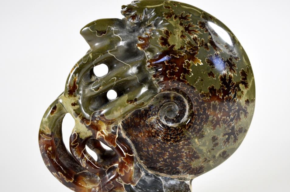 Ammonite Carving Large 13.2cm