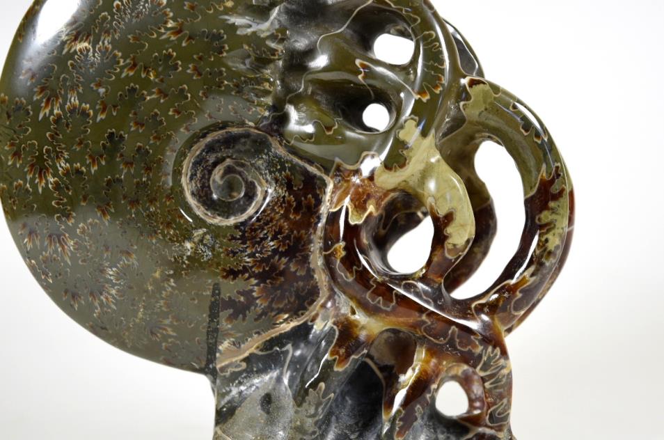 Ammonite Carving Large 13.2cm