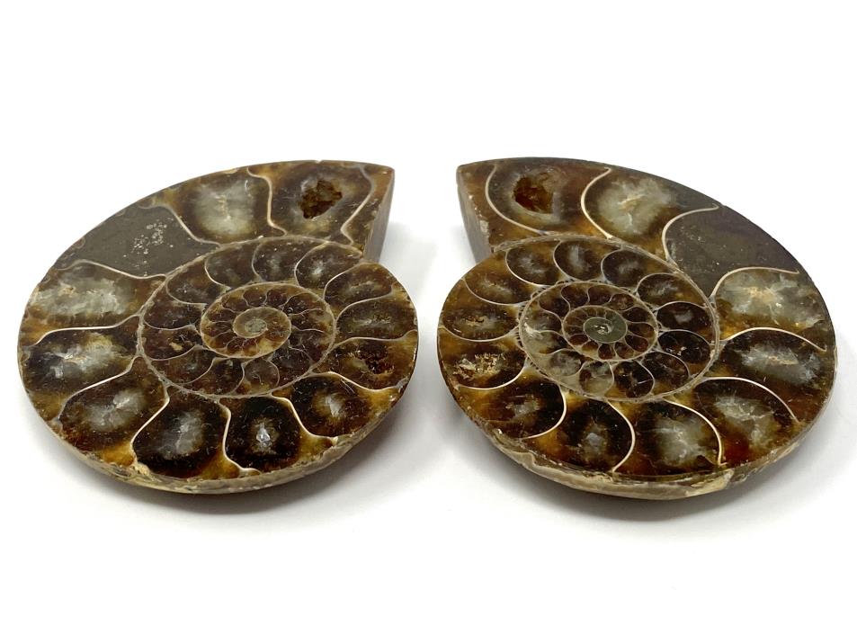 Ammonite Pair 6.3cm