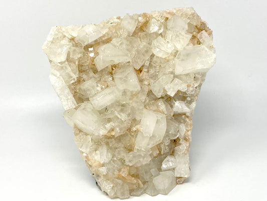 Apophyllite Crystal Cluster Natural Large 23.5cm