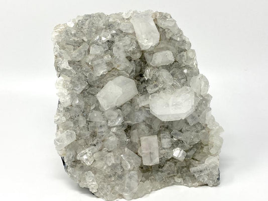 Apophyllite Crystal Cluster Natural Large 22cm