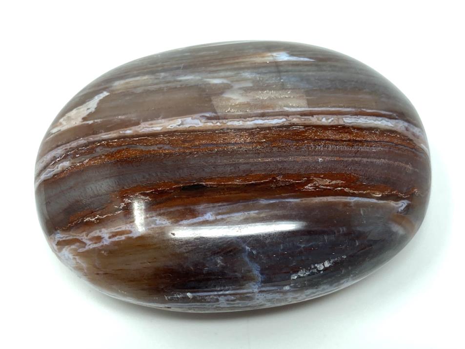 Fossil Wood Pebble 6.5cm