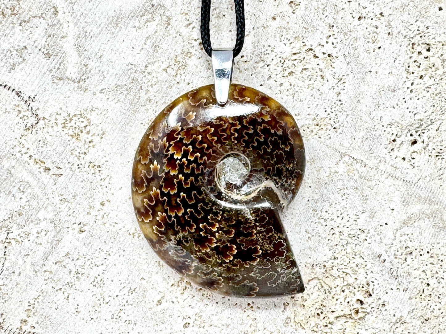 Polished Cleoniceras Ammonite Pendant 5cm