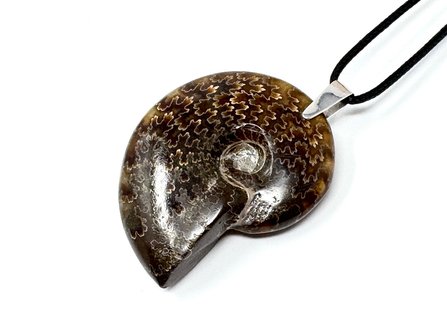 Polished Cleoniceras Ammonite Pendant 5cm