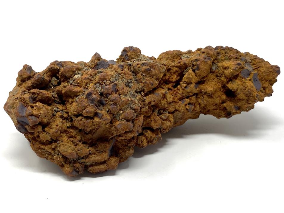 Coprolite Fossil Large 12.4cm