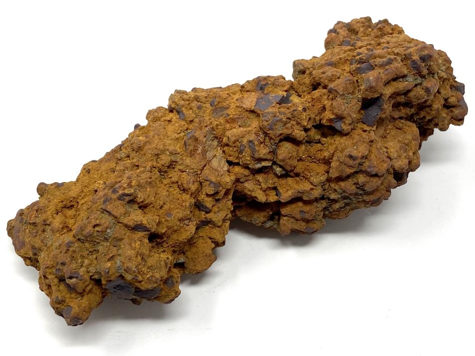 Coprolite Fossil Large 12.4cm