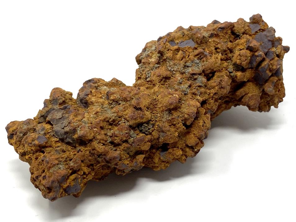 Coprolite Fossil Large 12.4cm