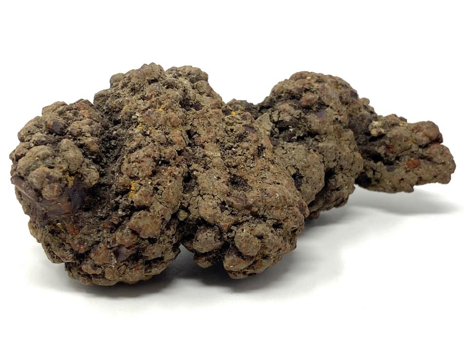 Coprolite Fossil 9.3cm