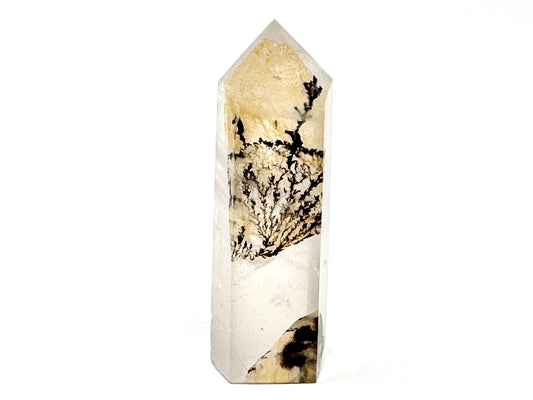 Dendritic Quartz Crystal Point 6.7cm