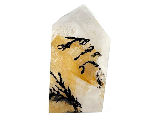 Dendritic Quartz Crystal Point 4.5cm