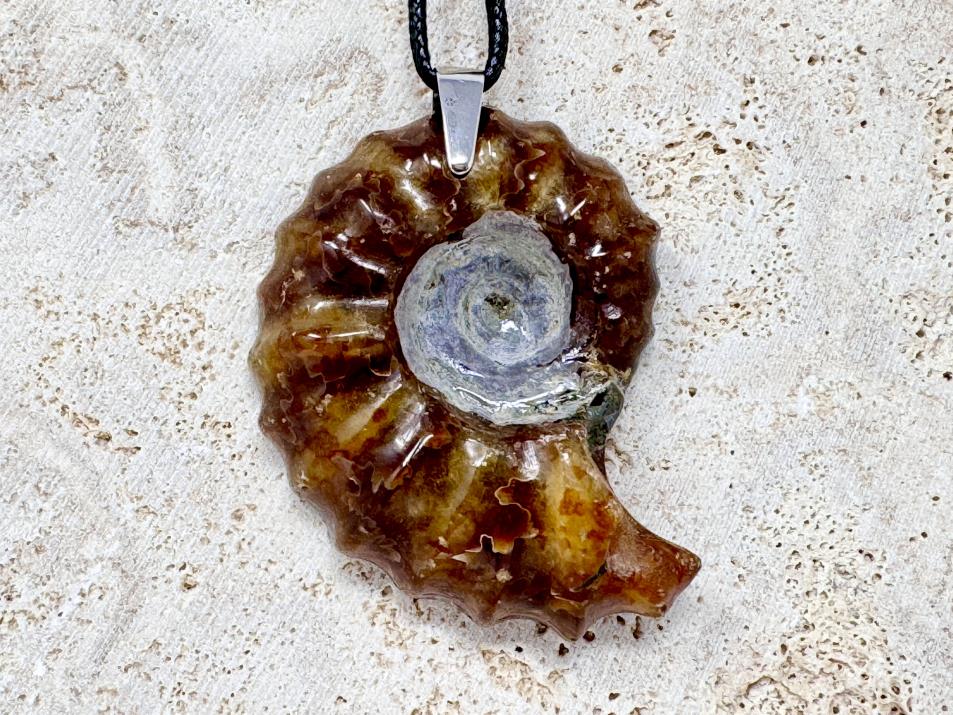 Douvilleiceras Ammonite Pendant 5cm