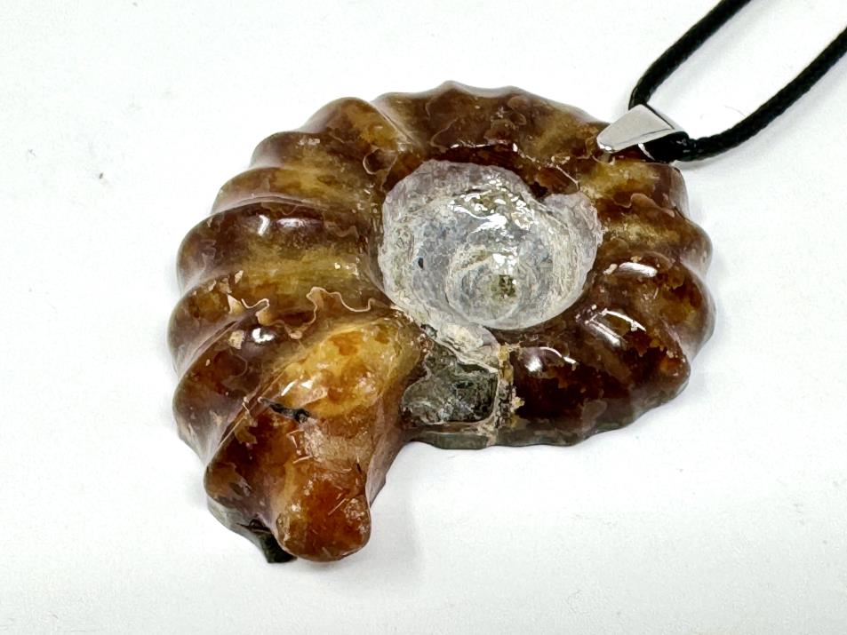 Douvilleiceras Ammonite Pendant 5cm