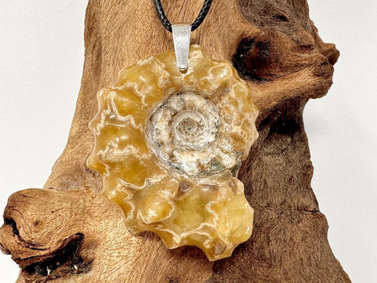 Douvilleiceras Ammonite Pendant 5.2cm