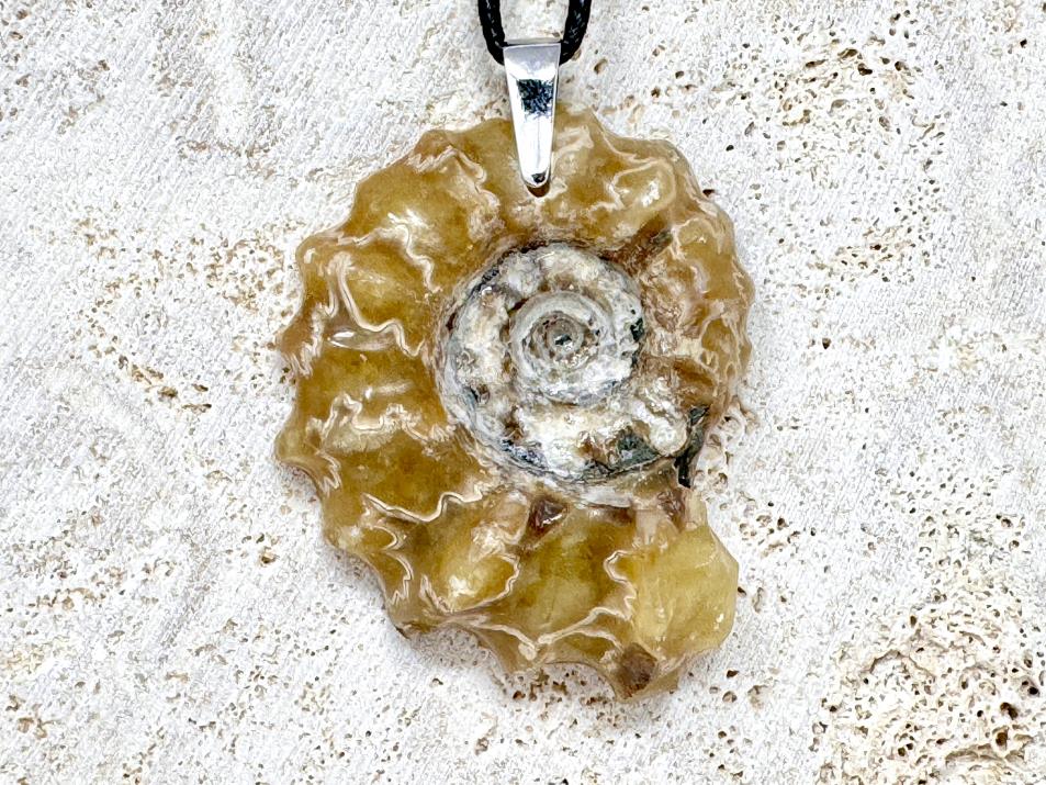 Douvilleiceras Ammonite Pendant 5.2cm