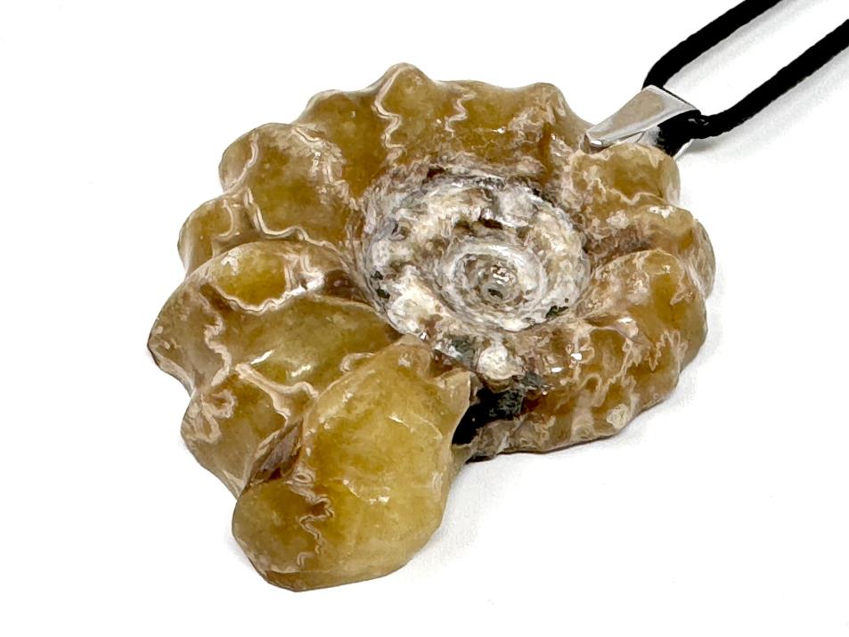 Douvilleiceras Ammonite Pendant 5.2cm