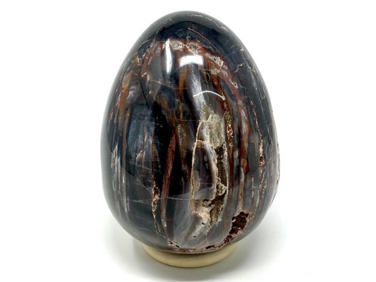 Fossil Wood Egg Large 15cm