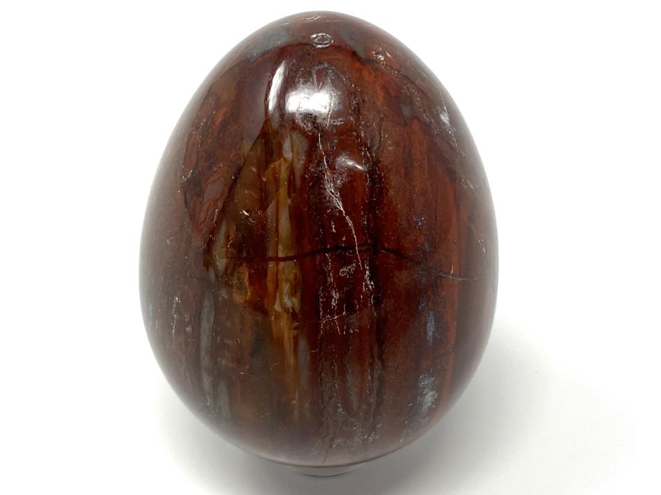 Fossil Wood Egg 5.7cm