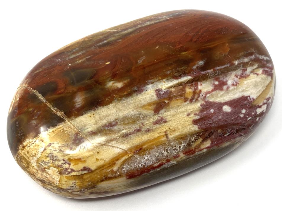 Fossil Wood Pebble 7.2cm