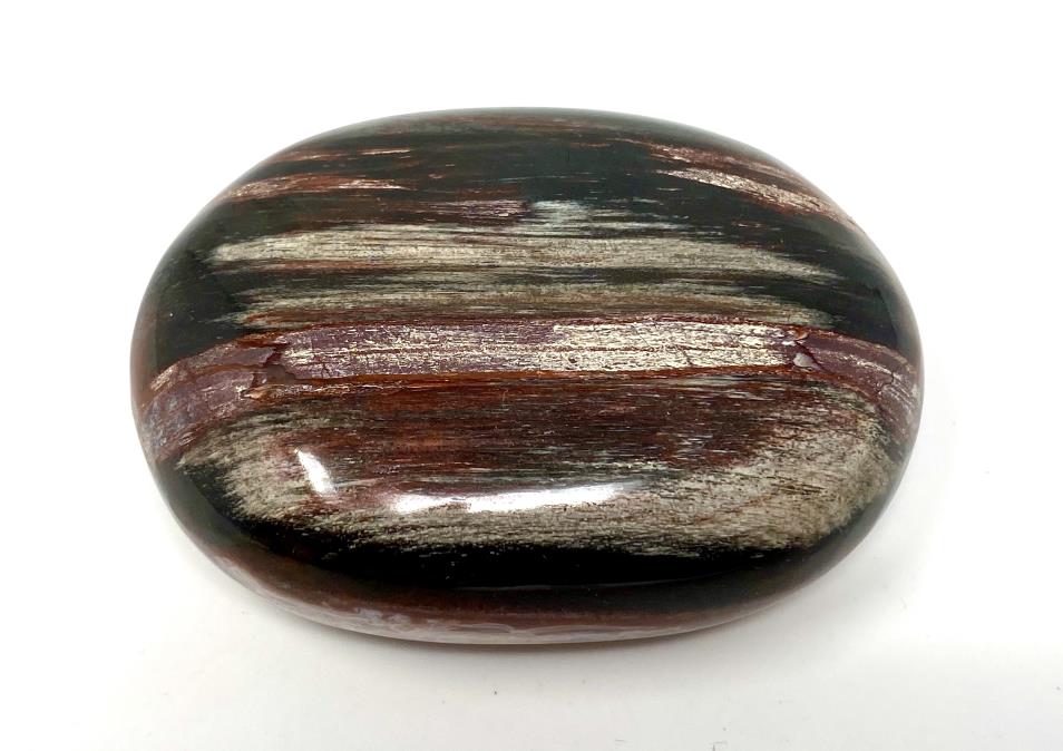 Fossil Wood Pebble 6.7cm