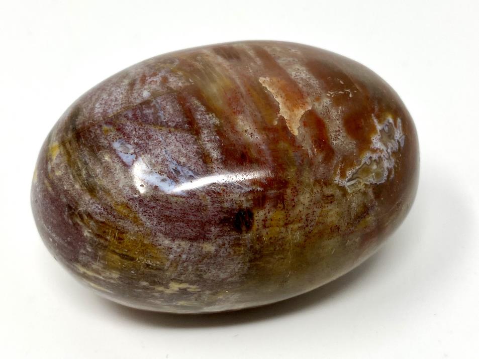 Fossil Wood Pebble 6.3cm