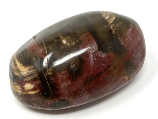 Fossil Wood Pebble 7.1cm