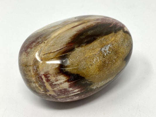 Fossil Wood Pebble Large 7.6cm