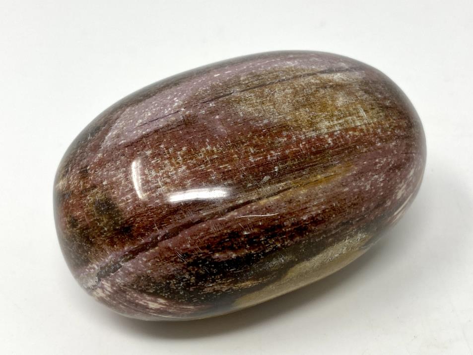 Fossil Wood Pebble Large 7.6cm