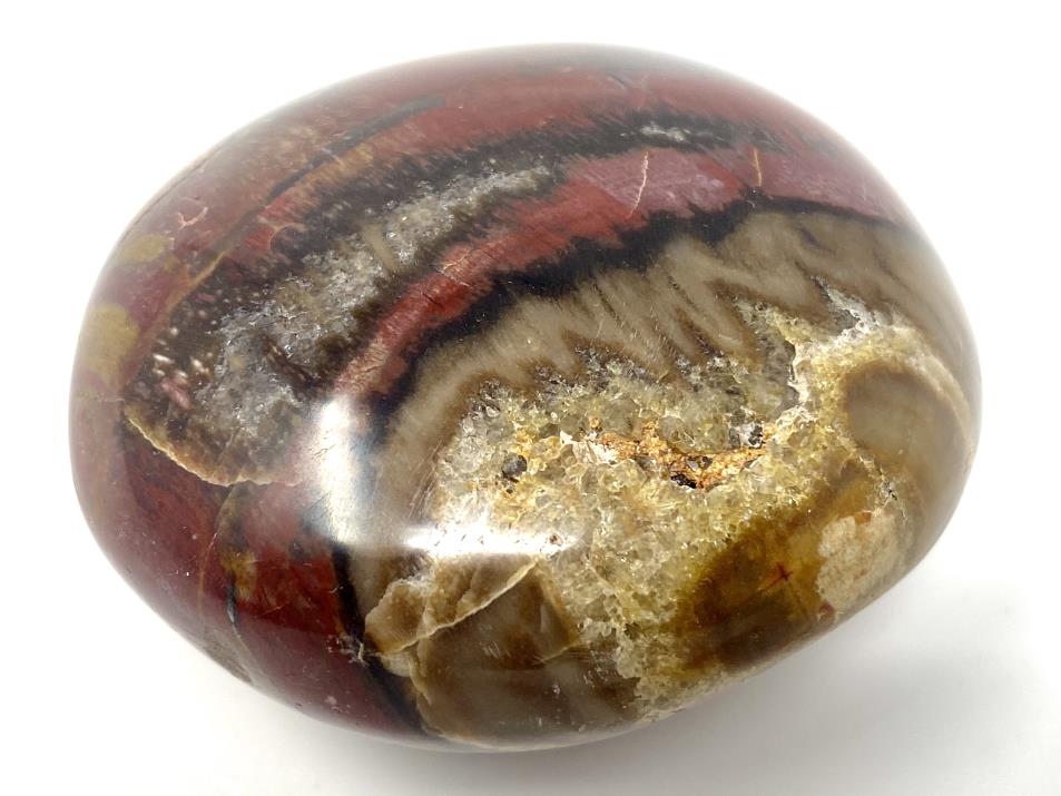 Fossil Wood Pebble 6cm