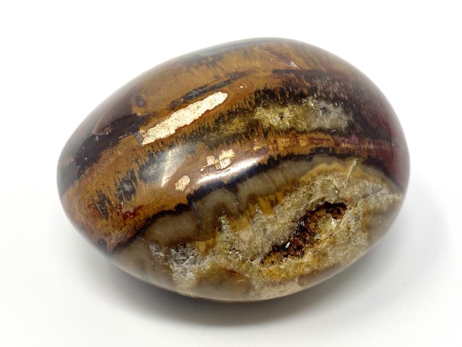 Fossil Wood Pebble 6cm