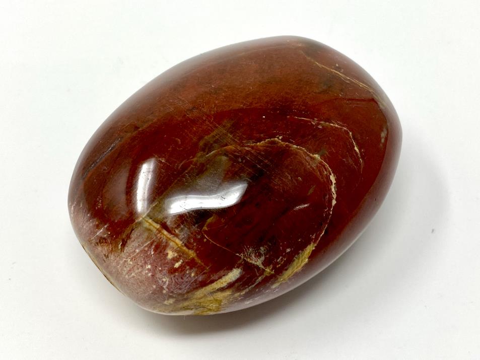 Fossil Wood Pebble Large 7.2cm