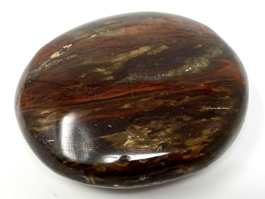 Fossil Wood Pebble 6.2cm